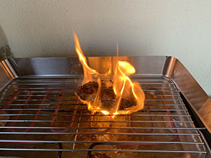 Aveyron Duck on the Grill